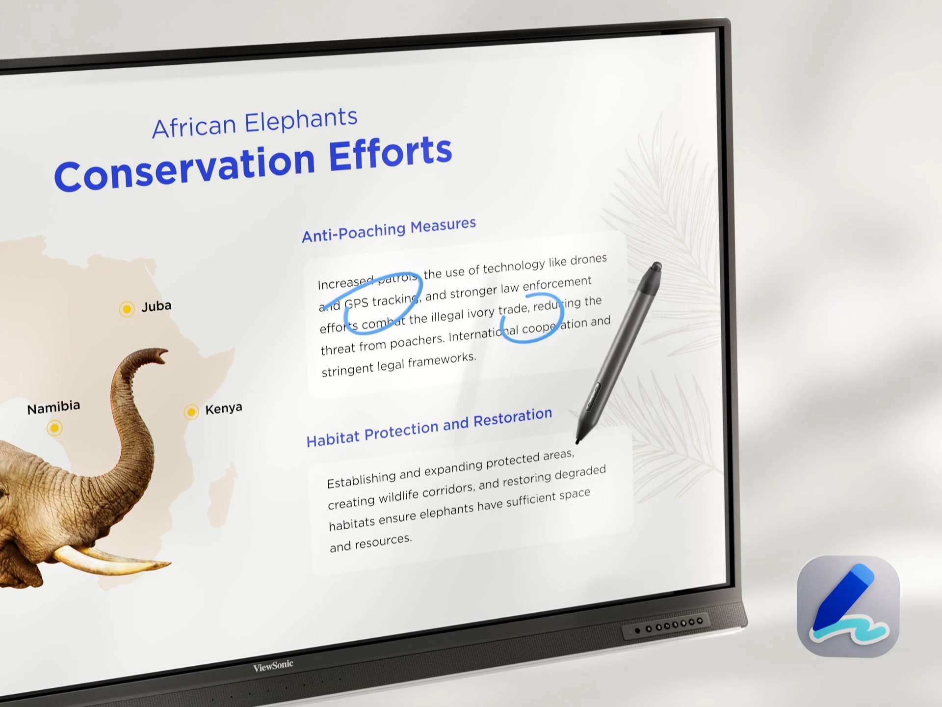 Màn hình tương tác ViewSonic IFP7553 - 75” 4K, RAM 8GB, USB-C 100W, Android 14 hiện đại